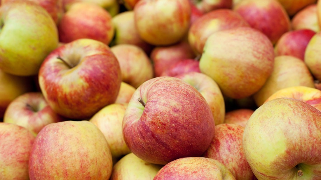 Omenoita – tuoreita pesusta 